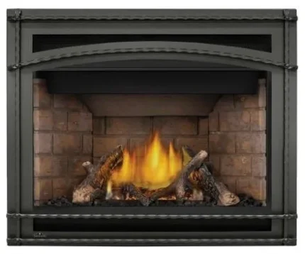 Ascent X 42 DV Gas Fireplace w/Newport Panels and Surround - LP