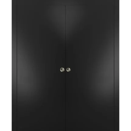 Double Pocket Doors 64 x 80 | Planum 0010 Black Matte | Frame Kit Hardware