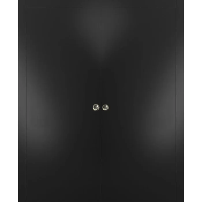 Double Pocket Doors 64 x 80 | Planum 0010 Black Matte | Frame Kit Hardware - Image 1