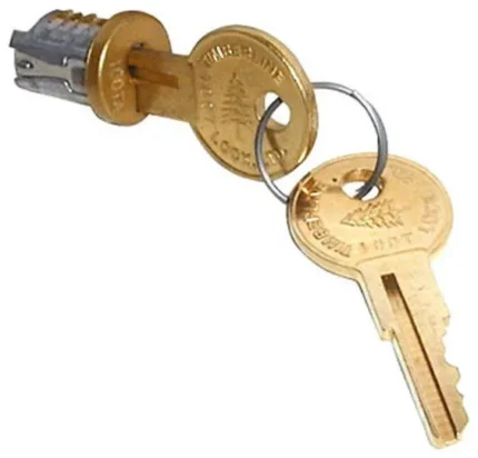 HD Lock Plugs, Old English Keyed Alike, 100