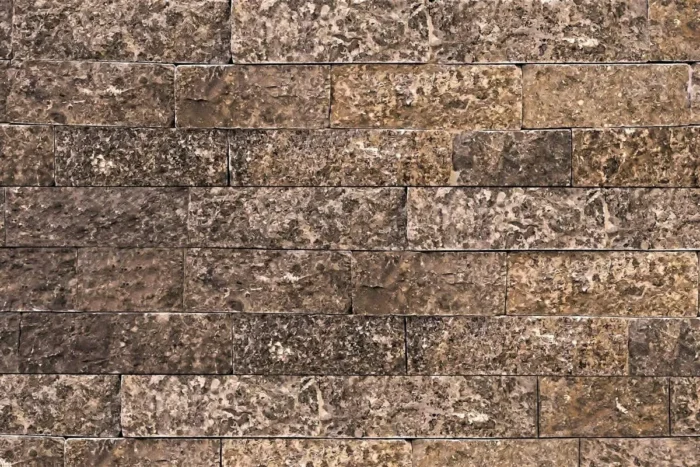 Ledge Stone Oyster Gray Small Sample - Image 1
