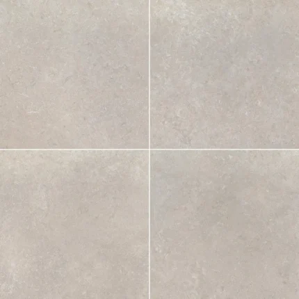 Livingstyle Pearl 24X24 Matte Porcelain Tile, 80 Sft