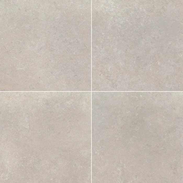 Livingstyle Pearl 24X24 Matte Porcelain Tile, 80 Sft - Image 1