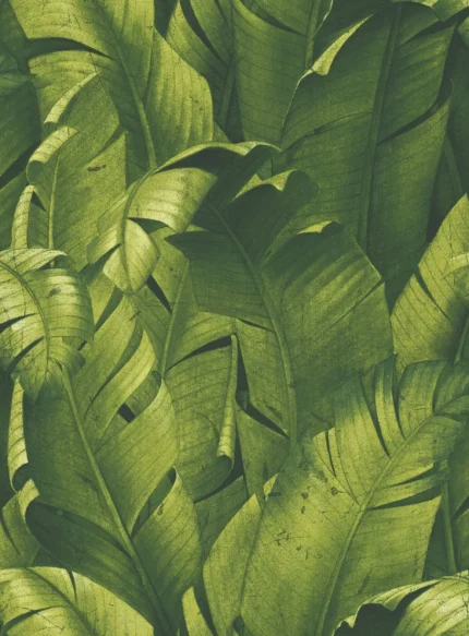 NextWall Tropical Banana Leaves Peel and Stick Wallpaper