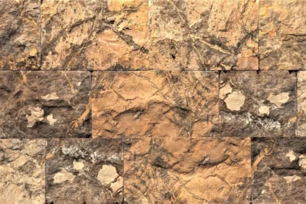 Split Face Browny Small Sample