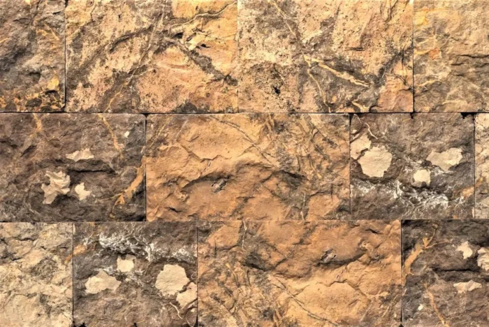 Split Face Browny Small Sample - Image 1