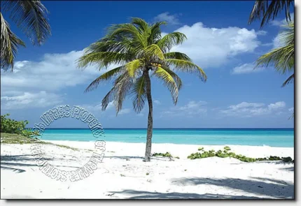Twisted Palm One Piece Peel & Stick CANVAS Wall Mural