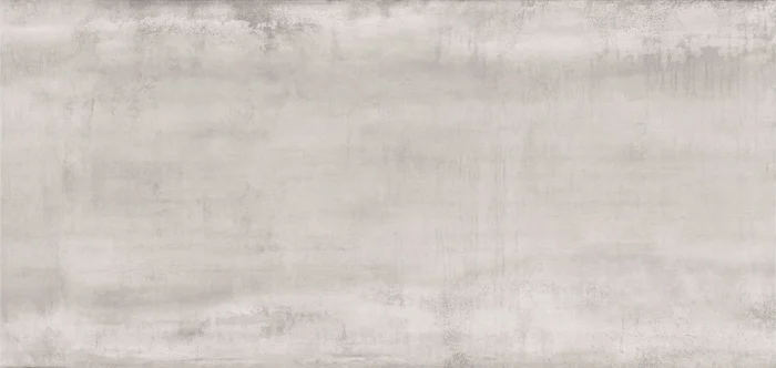 Wish Silver Rectified Porcelain Tile, 24"x48" Sample - Image 1